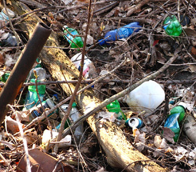 sweetmarimari-litter-on-the-banks