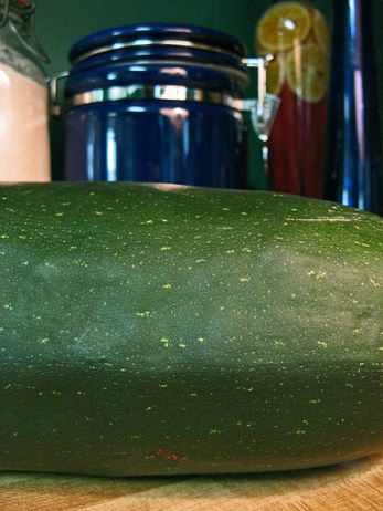 A whale of a zucchini